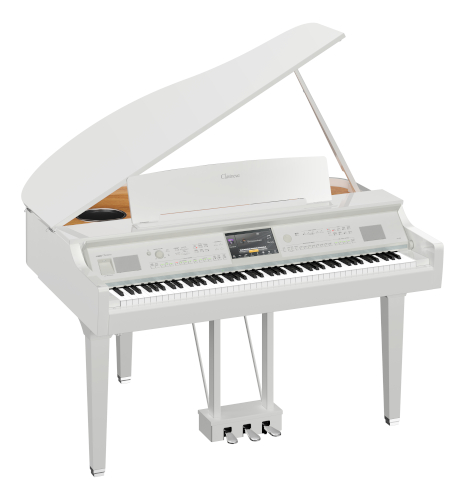 Polished White color icon image